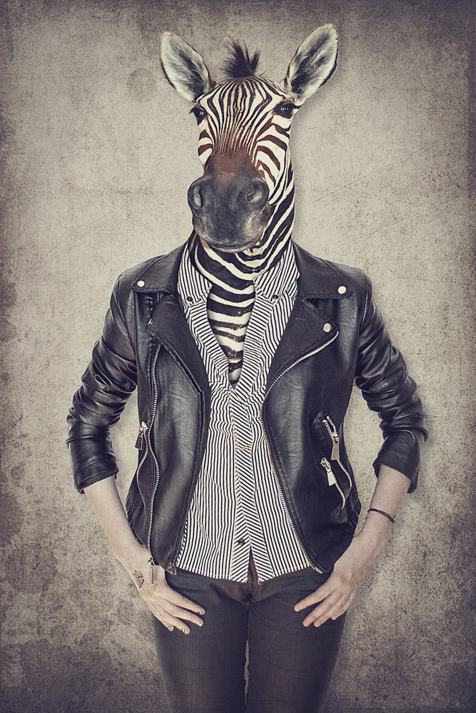 Akustikbild ZEBRA GENTLEMAN 80x120cm, 7kg