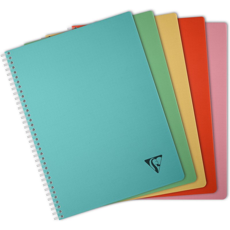 Carnet spirale Linicolor Essence A4 21 x 29,7 cm petits carreaux - 180 pages