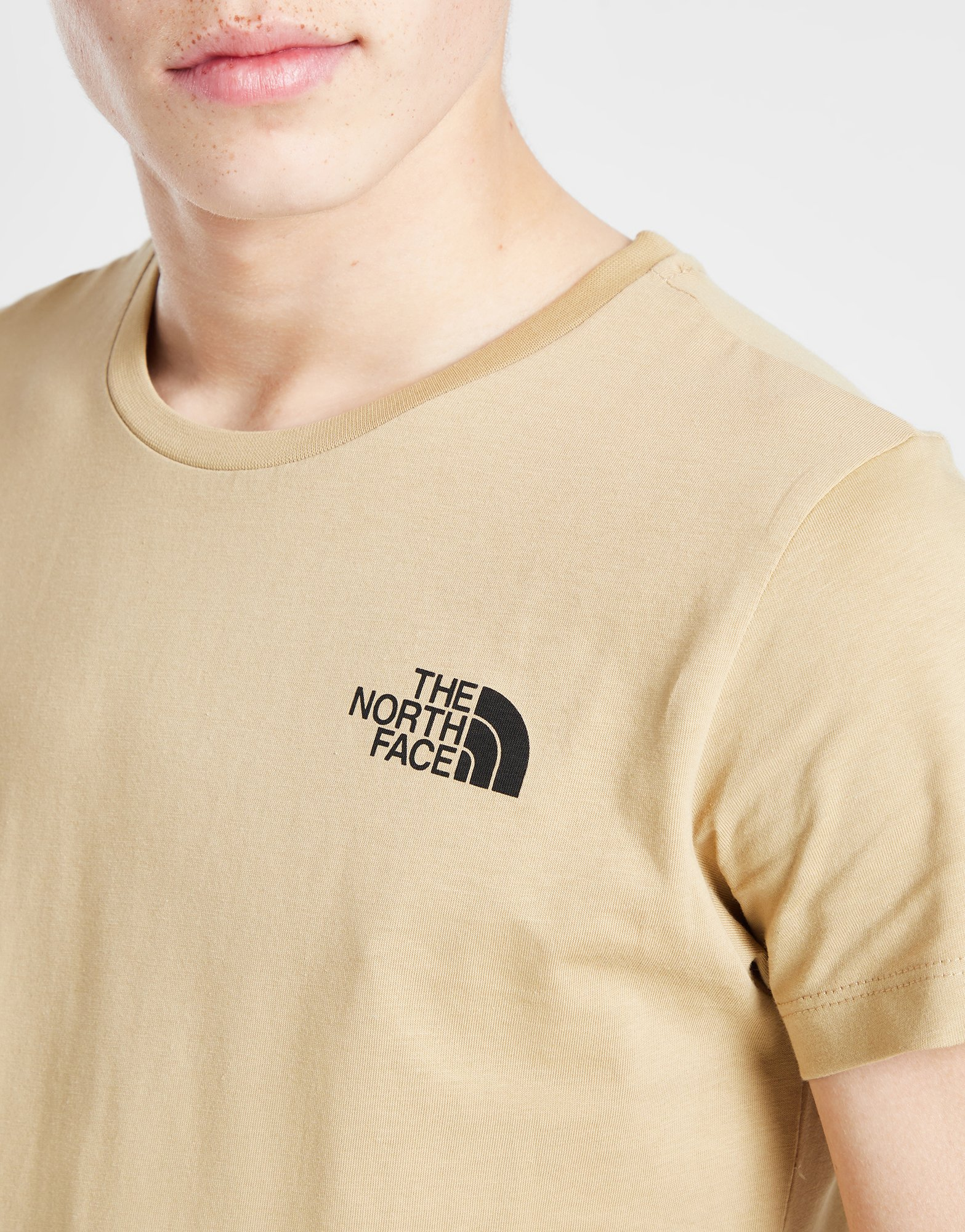 The North Face T-shirt Verticial Graphic Junior