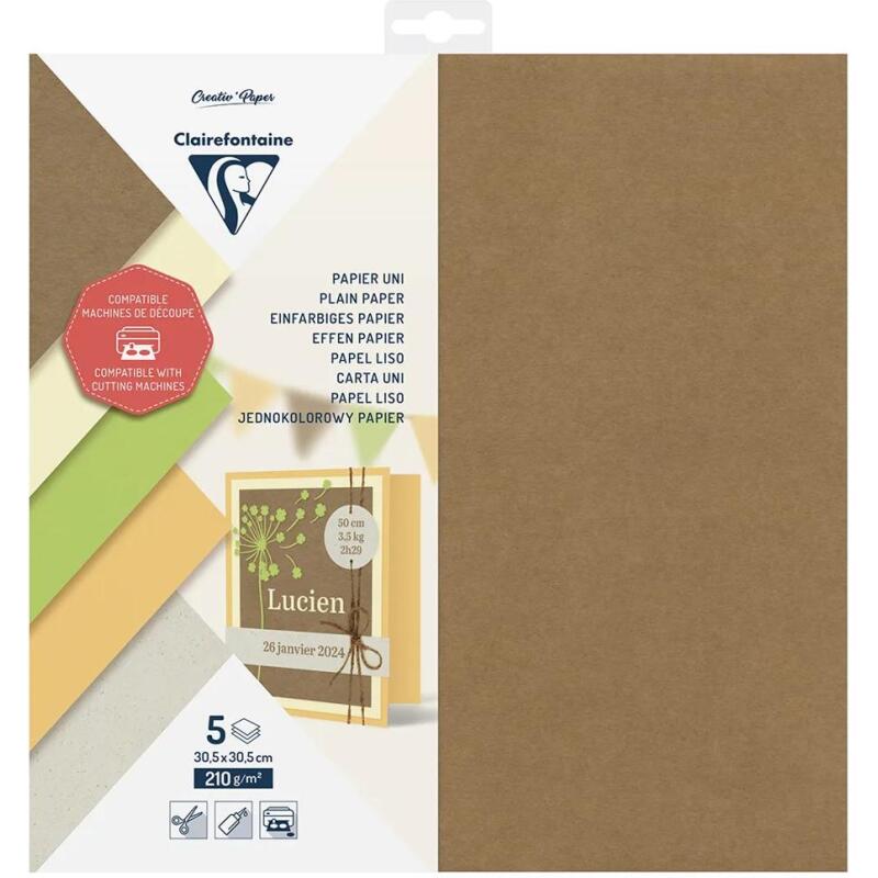 PAPIER UNI, Pochette de 5 feuilles 210g/m2 au format 30.5x30.5cm - Assortiment
