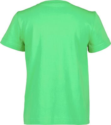 Didriksons Mynta T-skjorte, Frog Green