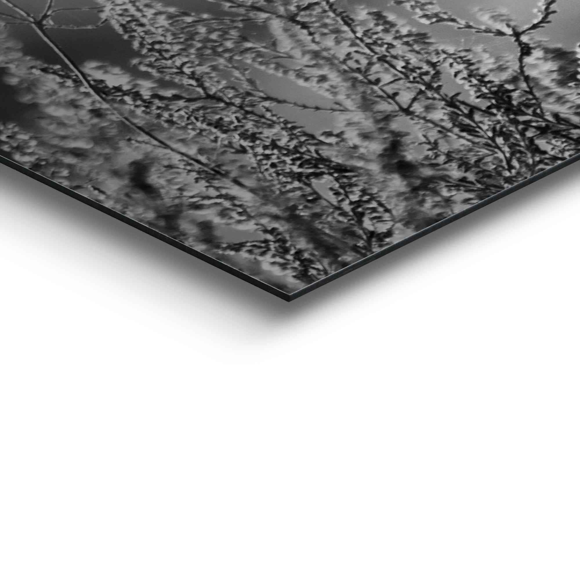 Reinders! Wandbild »Wandbild Highlander Bulle Tiermotiv - Nahaufnahme - Hochlandrind Bild« Kuh 1 Stk. tlg.
