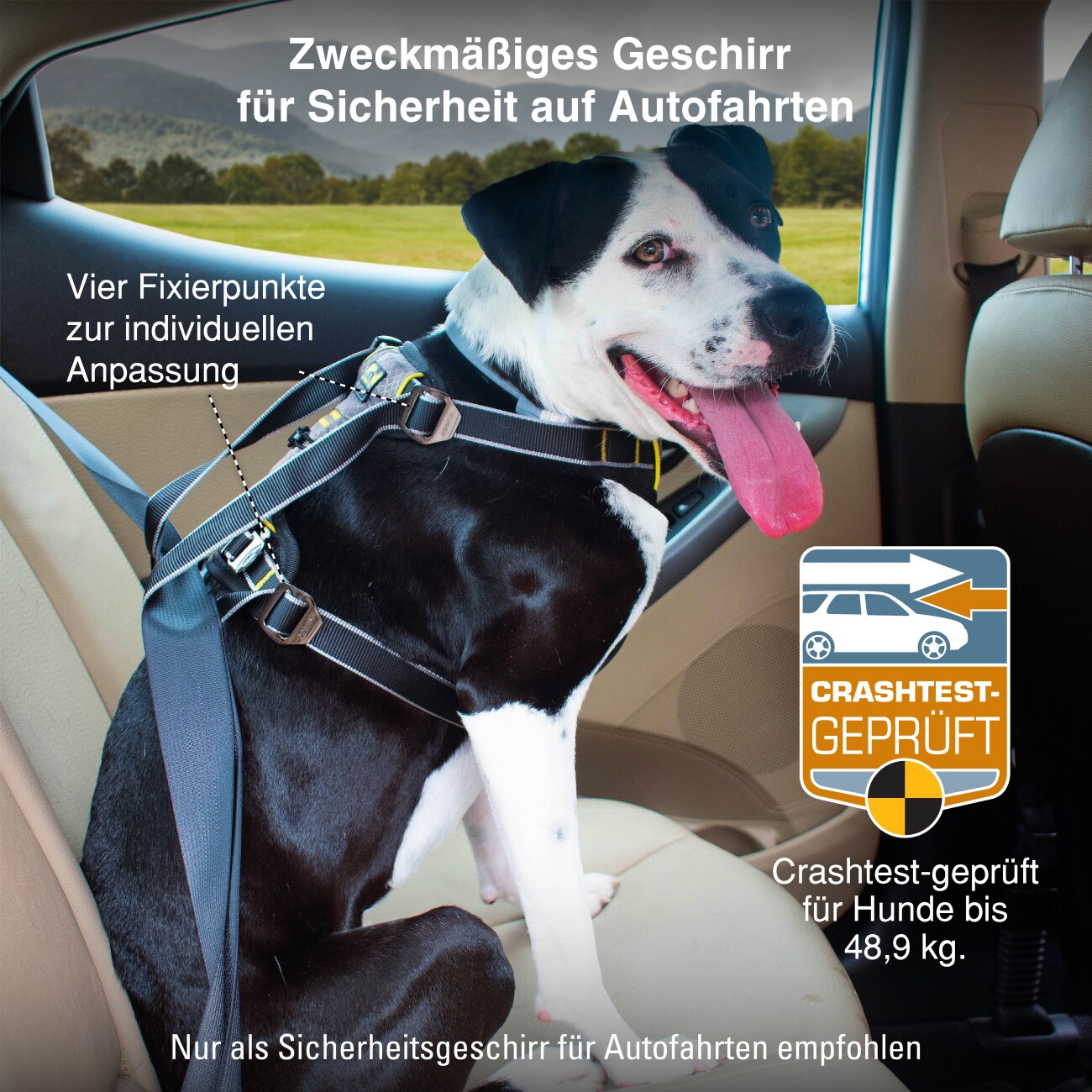 Kurgo Impact Hunde-Autogeschirr
