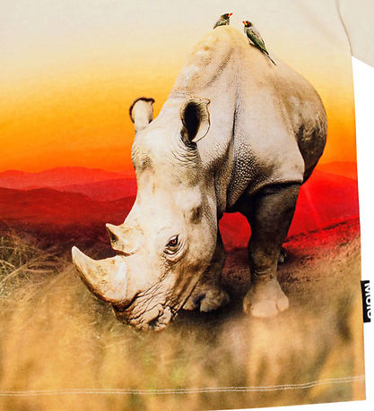 Molo T-Shirt - Roxo - Rhino
