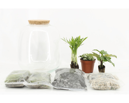 Flessentuin DIY Set Complete Set Modern H 30 cm Ø 23 cm
