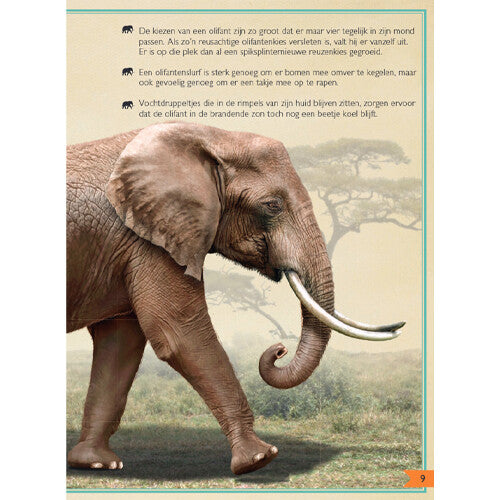 Uitgeverij gottmer het allermooiste boek over wilde dieren