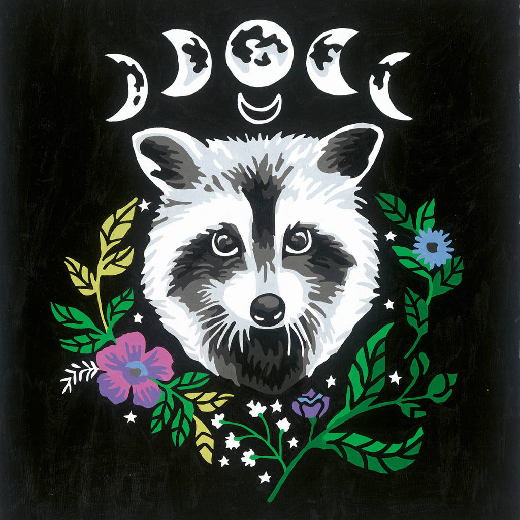 Pixie Cold Edition Raccoon - Schilderen op nummer voor volwassenen