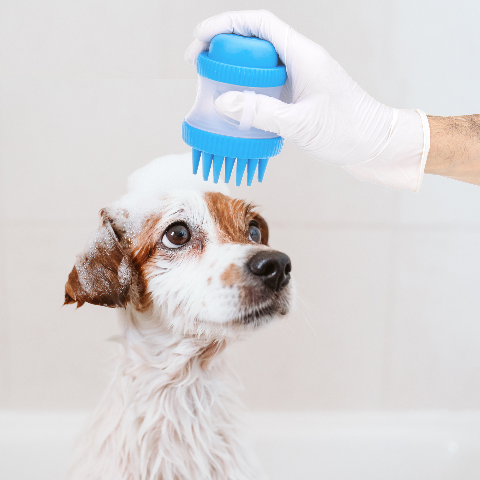 Escova de banho para animais de estimação com reservatório de shampoo