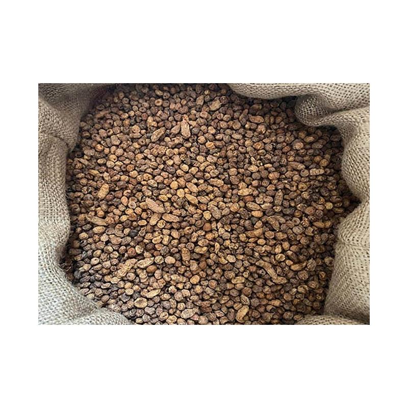 Graine Poseidon Particles Tigernuts Micro