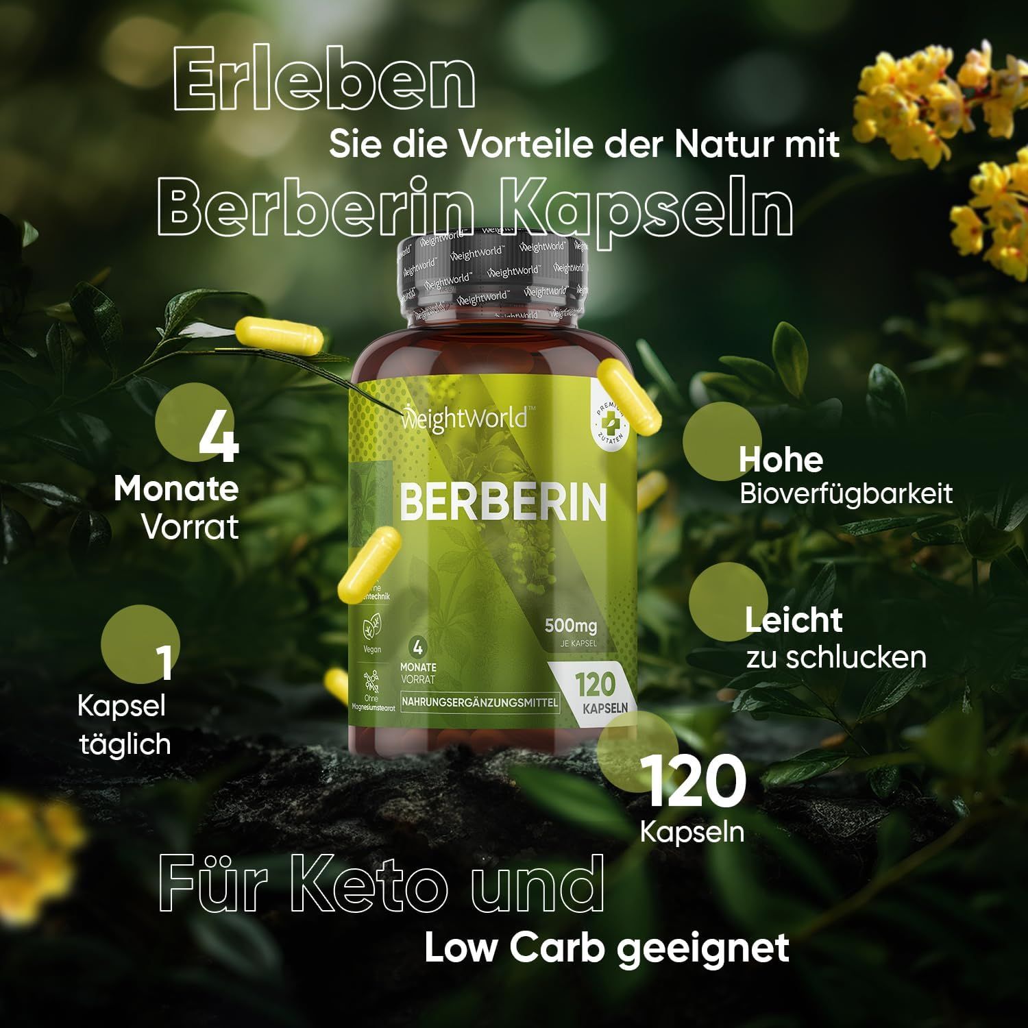 WeightWorld Berberin Hochdosiert