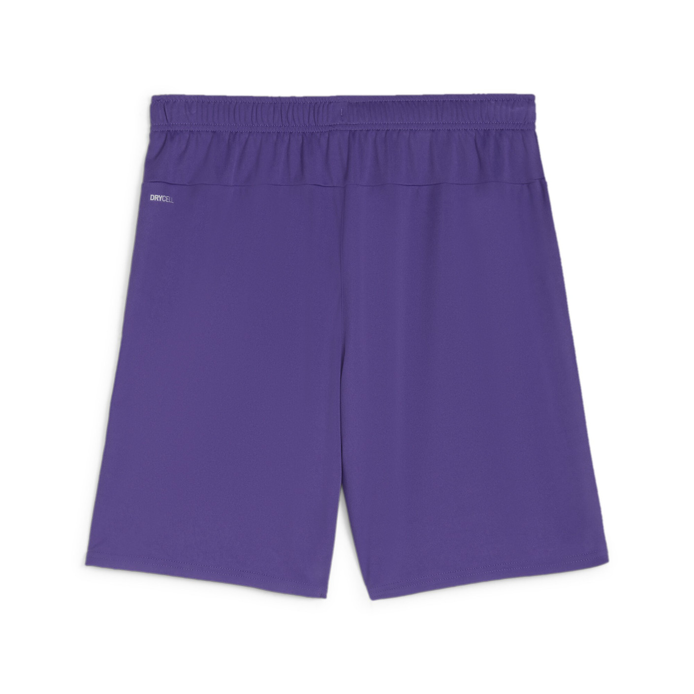 PUMA teamGOAL Matchday Voetbaltenue Paars Wit