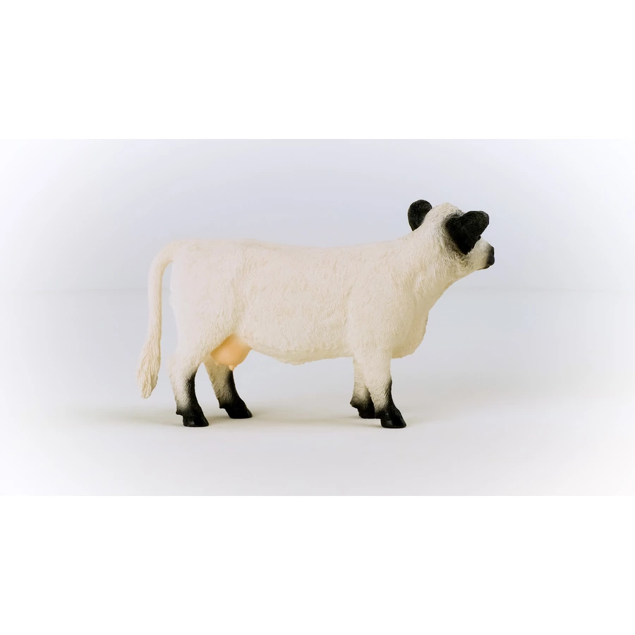 schleich® Galloway Kuh 13960