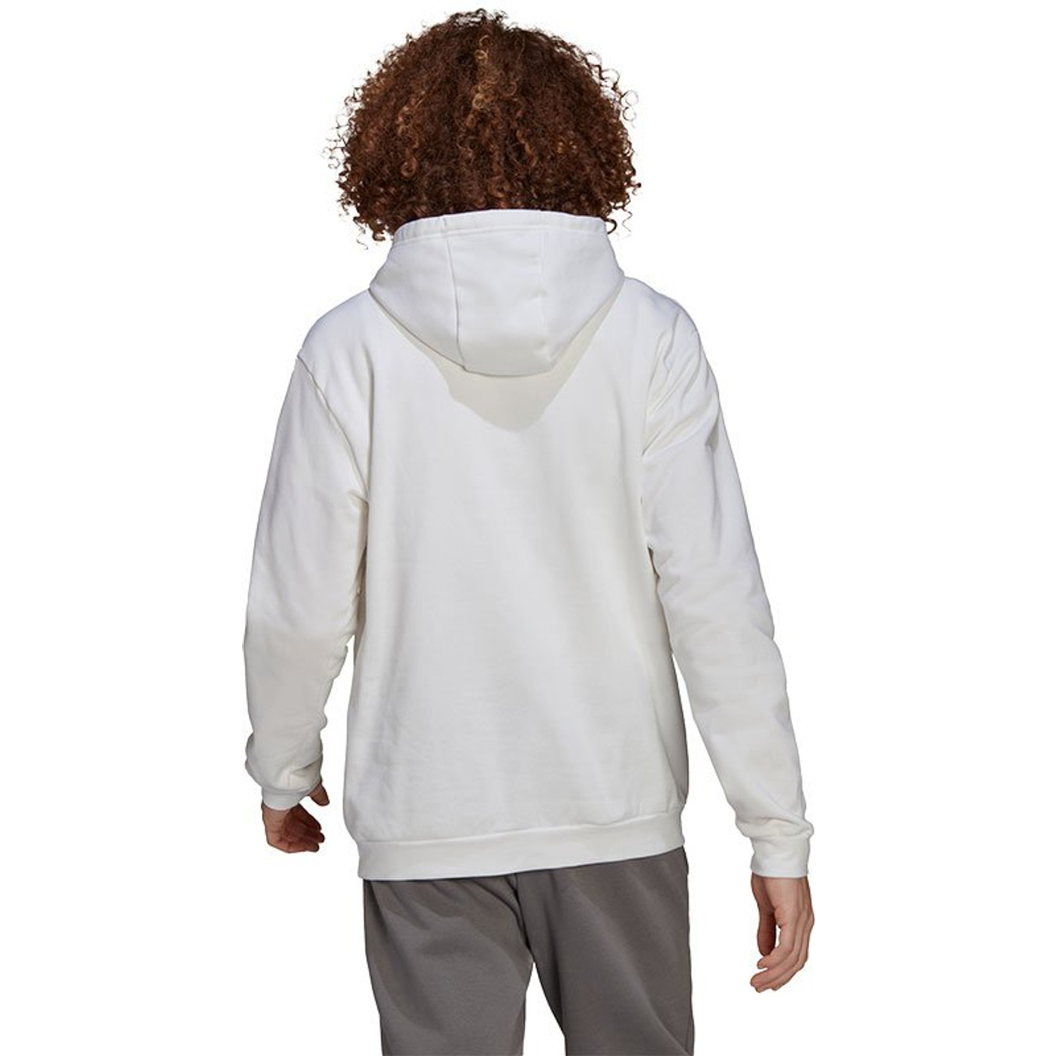 adidas Entrada 22 Hooded Sweat Trainingspak