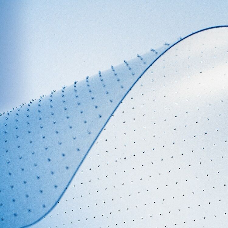 PROTECT Bodenschutzmatte für Teppich - Transparent / B: 150.0 cm x T: 120.0 cm x H: 0.2 cm