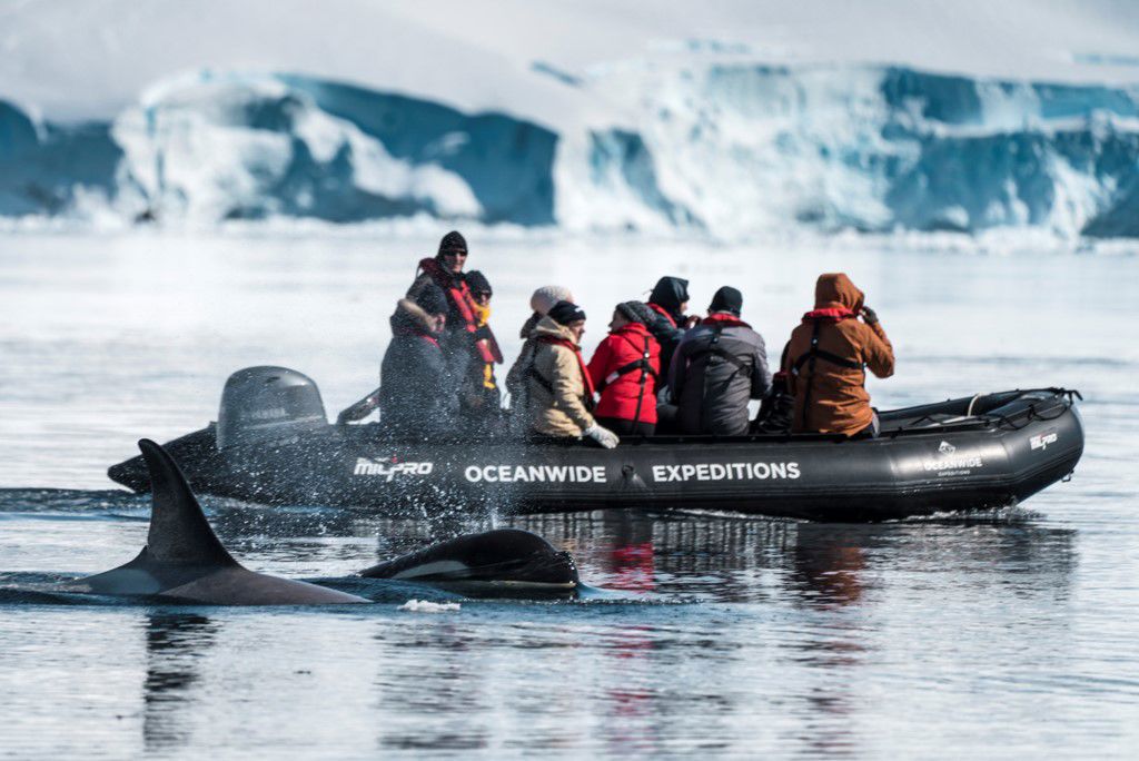 Expeditiecruise Antarctica per m/v Hondius Zie beschrijving