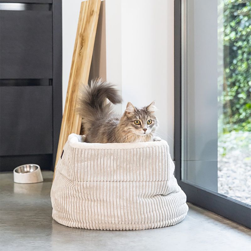 Corbeille côtelée Designed by Lotte pour chat
