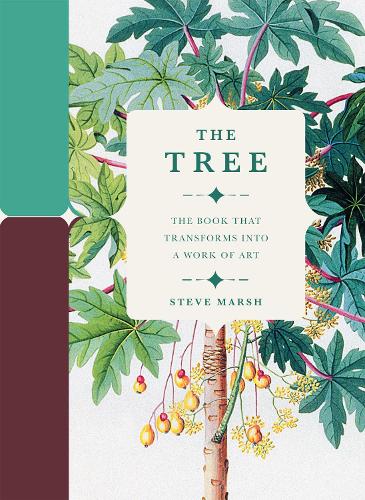 The Tree: The Book that Transforms into a Work of Art (Hardback)