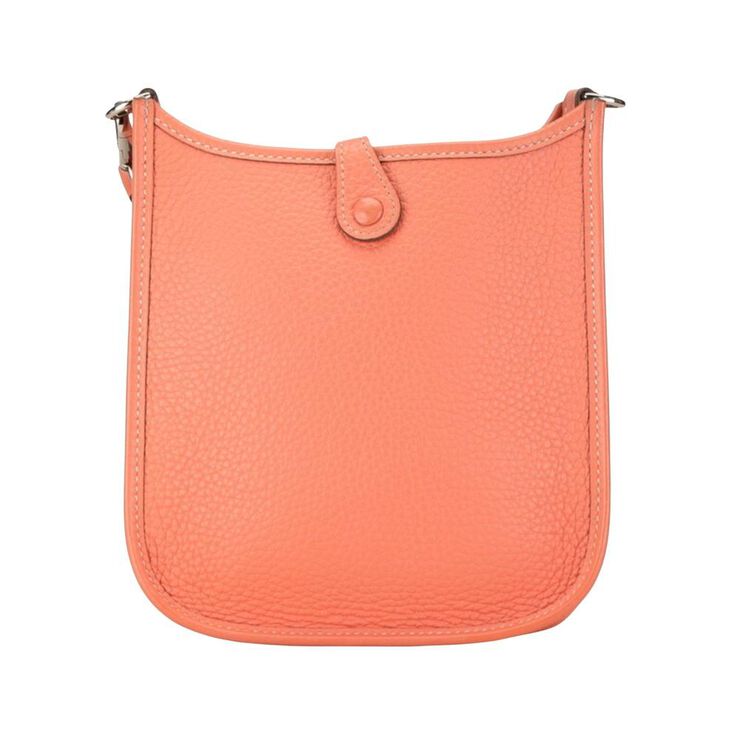 Hermès Vintage Hermès Evelyne Multicolor