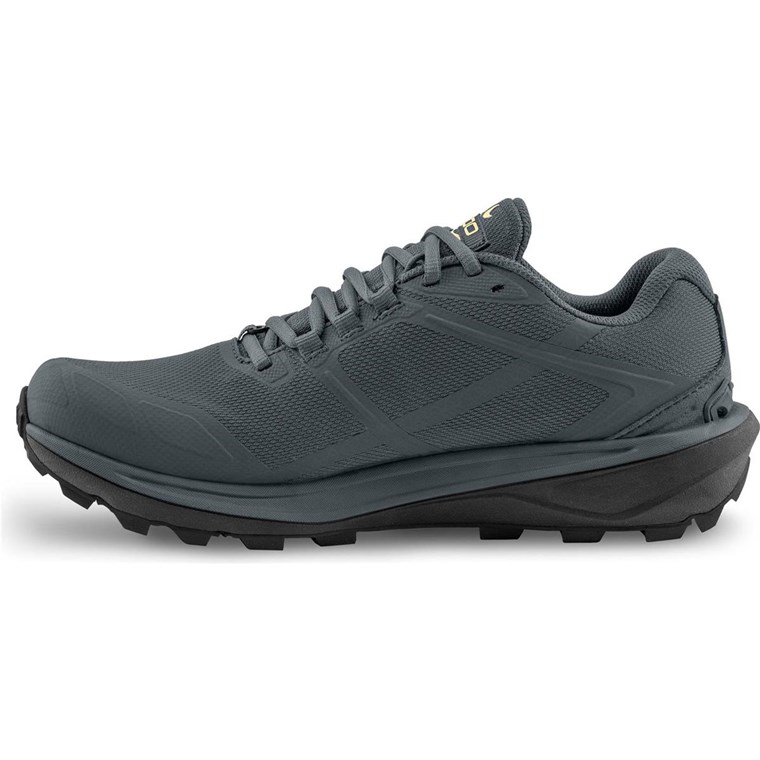 Topo TERRAVENTURE 4 WP Grey/Butter