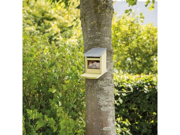 Trixie Foder station til egern 12x18x24 cm, Beige