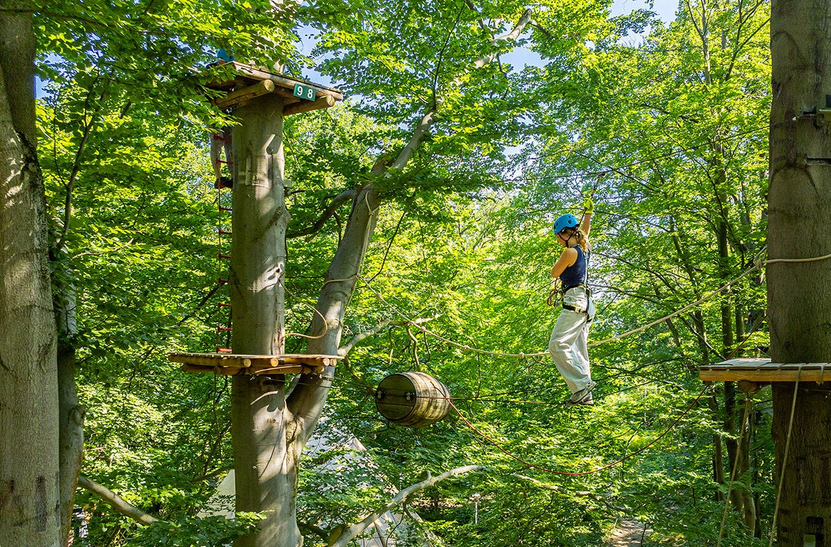 Kletterpark Potsdam (3 Std.)