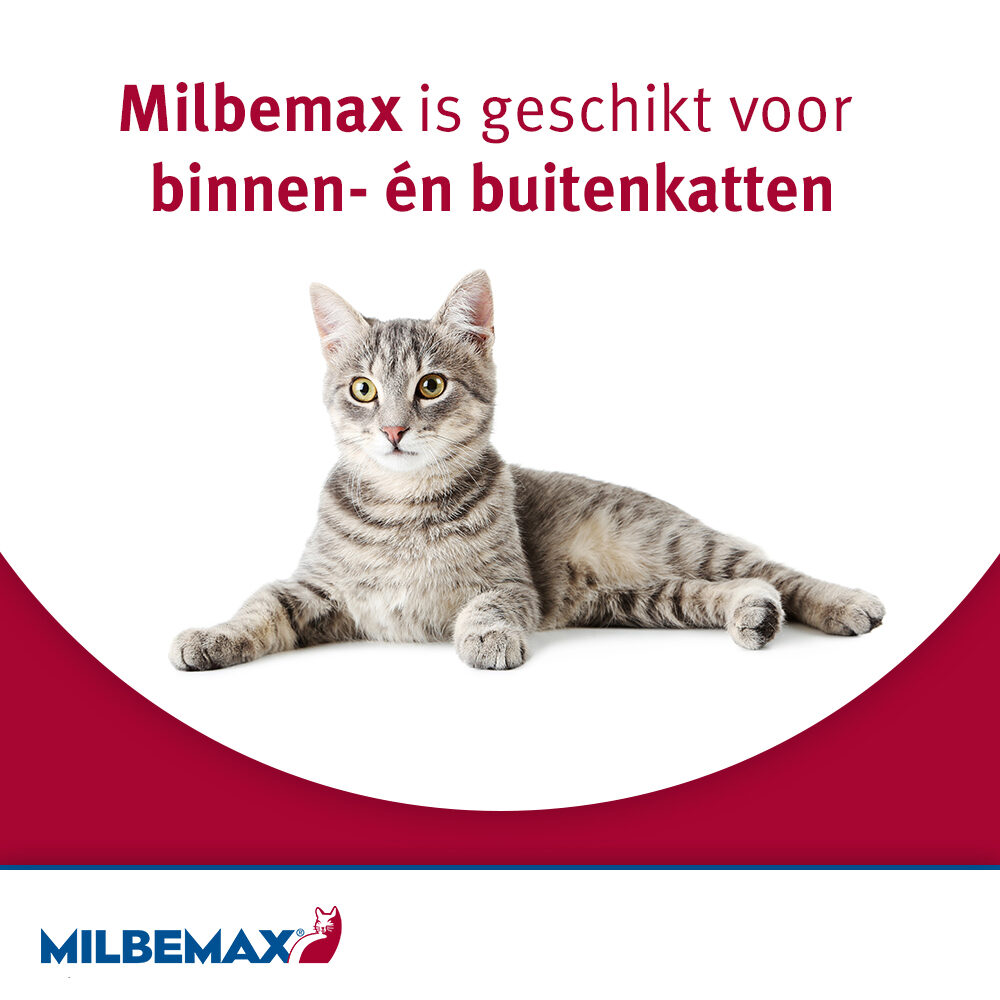 Milbemax Kat
