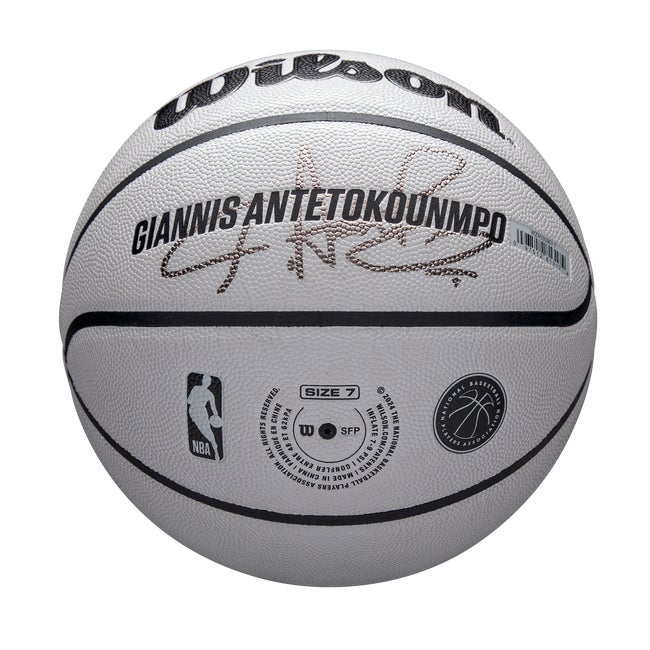 NBA Player Icon UV Basketball - Giannis