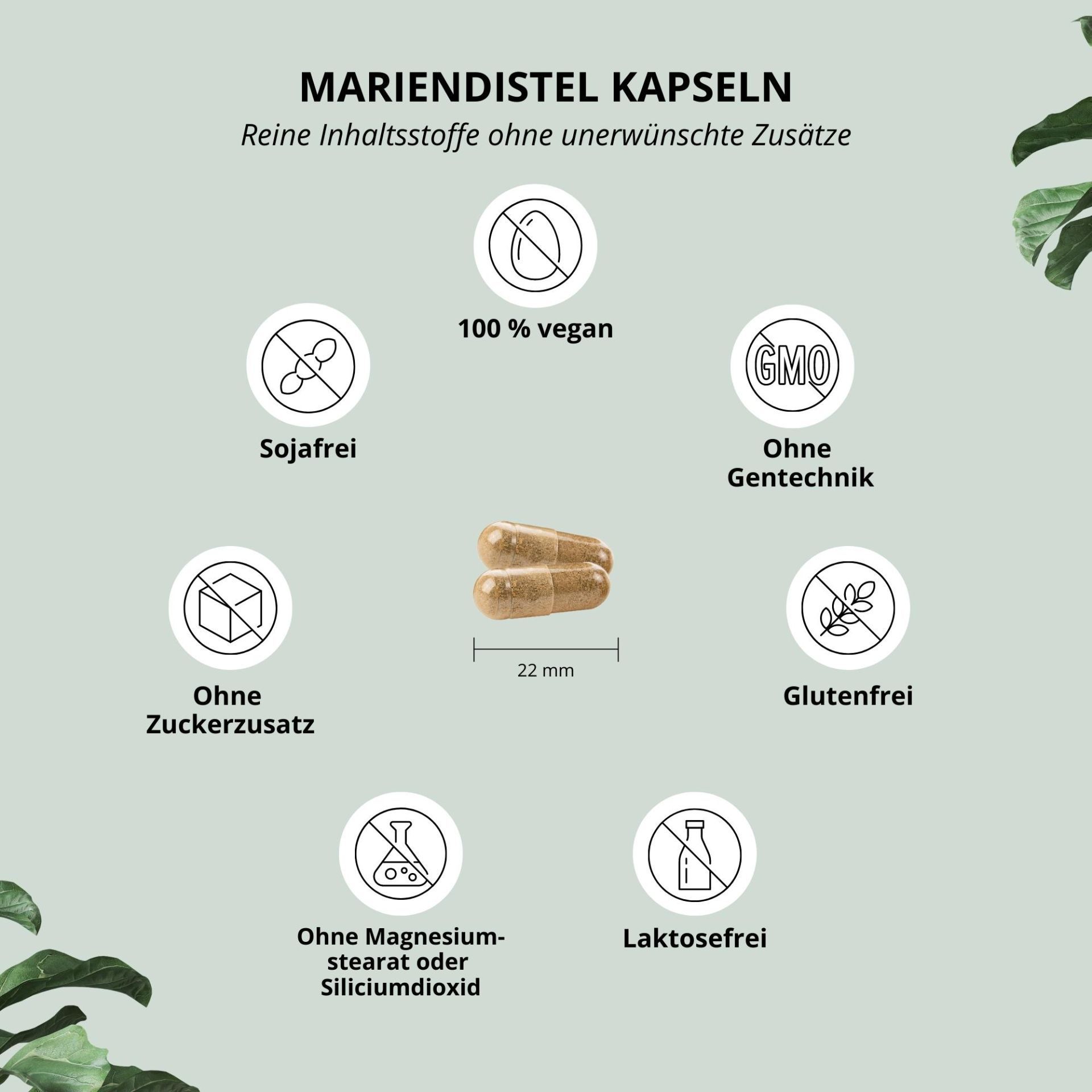 Nutri+ Mariendistel Kapseln mit Artischocke + Löwenzahn