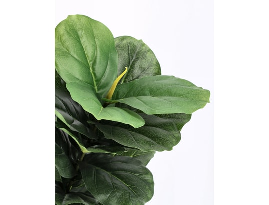 BIZZOTTO - Plantes et fruits déco 4 Figuiers Lyrata 72 feuilles h120 cm