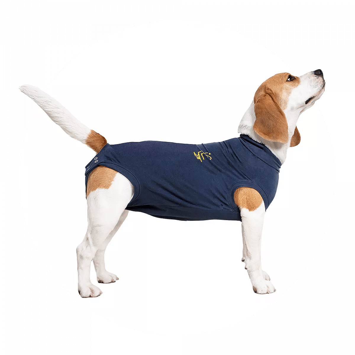 Medical Pet Shirt Hond XXXXS