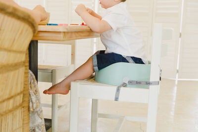 Bumbo Barnesete, Hemlock Green