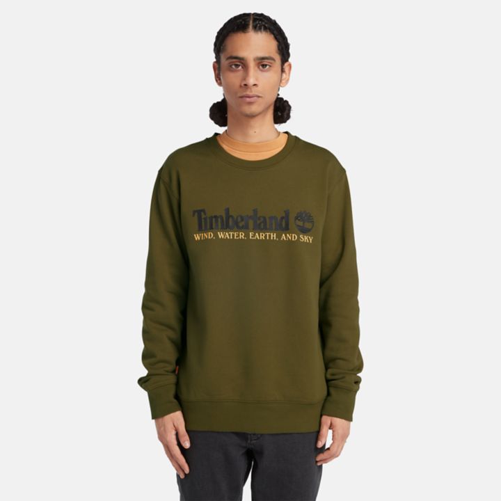 Moletom masculino verde com estampa de vento, água, terra e céu.