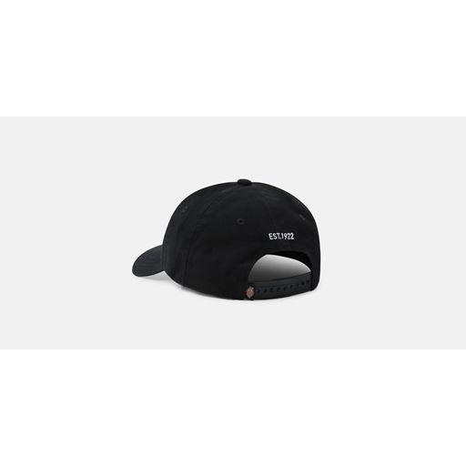 Dickies Hardwick Cap, Sort, One size