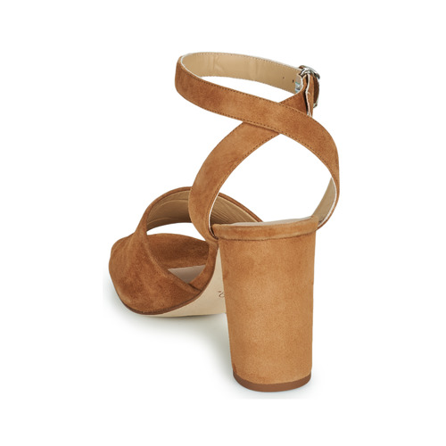 Unisa - SAPORO - Camel