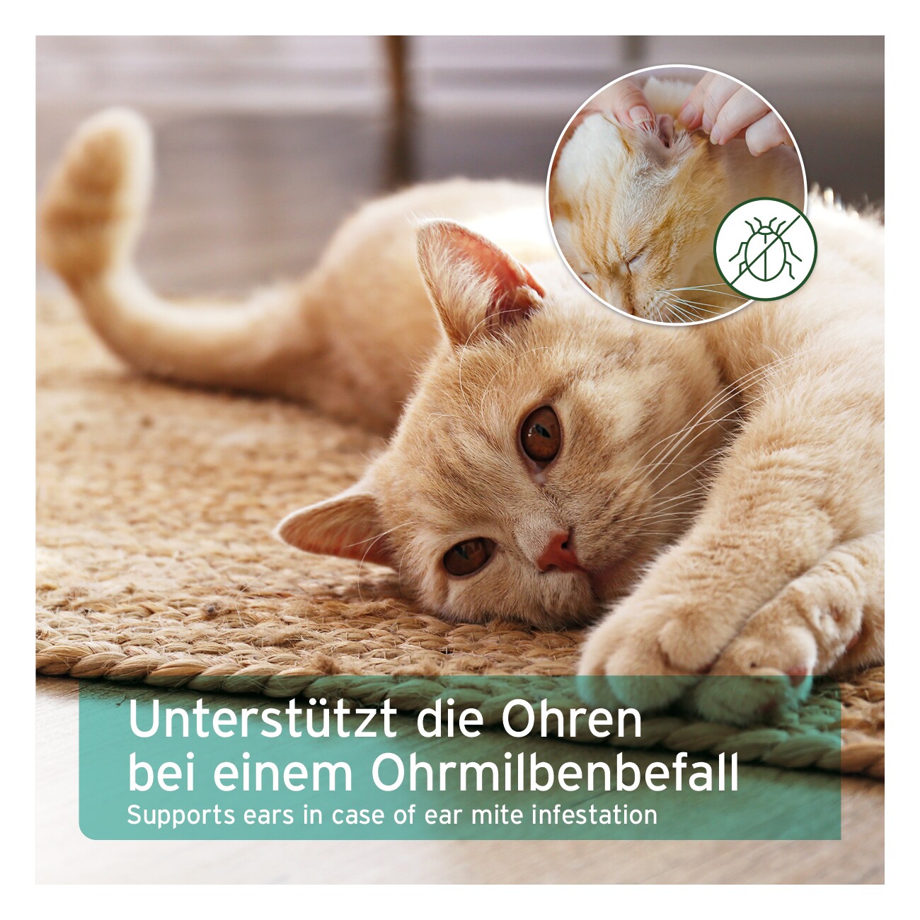 AniForte Ohrmilbenöl 50ml