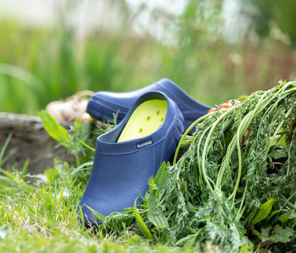 Blackfox Clogs Evasion