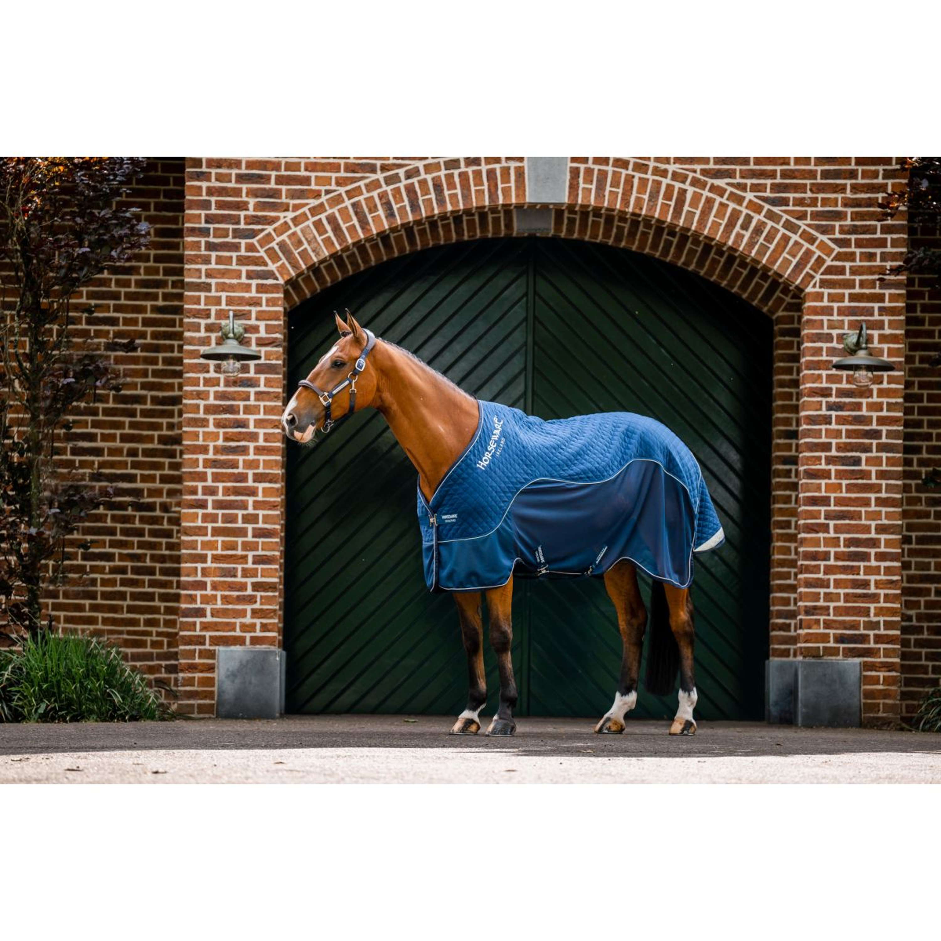 Horseware Travel Cooler Signature Navy