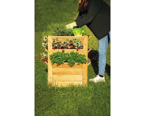 Premium verhoogde tuinbak WESTMANN maat L 65 x 65 x 73 cm naturel
