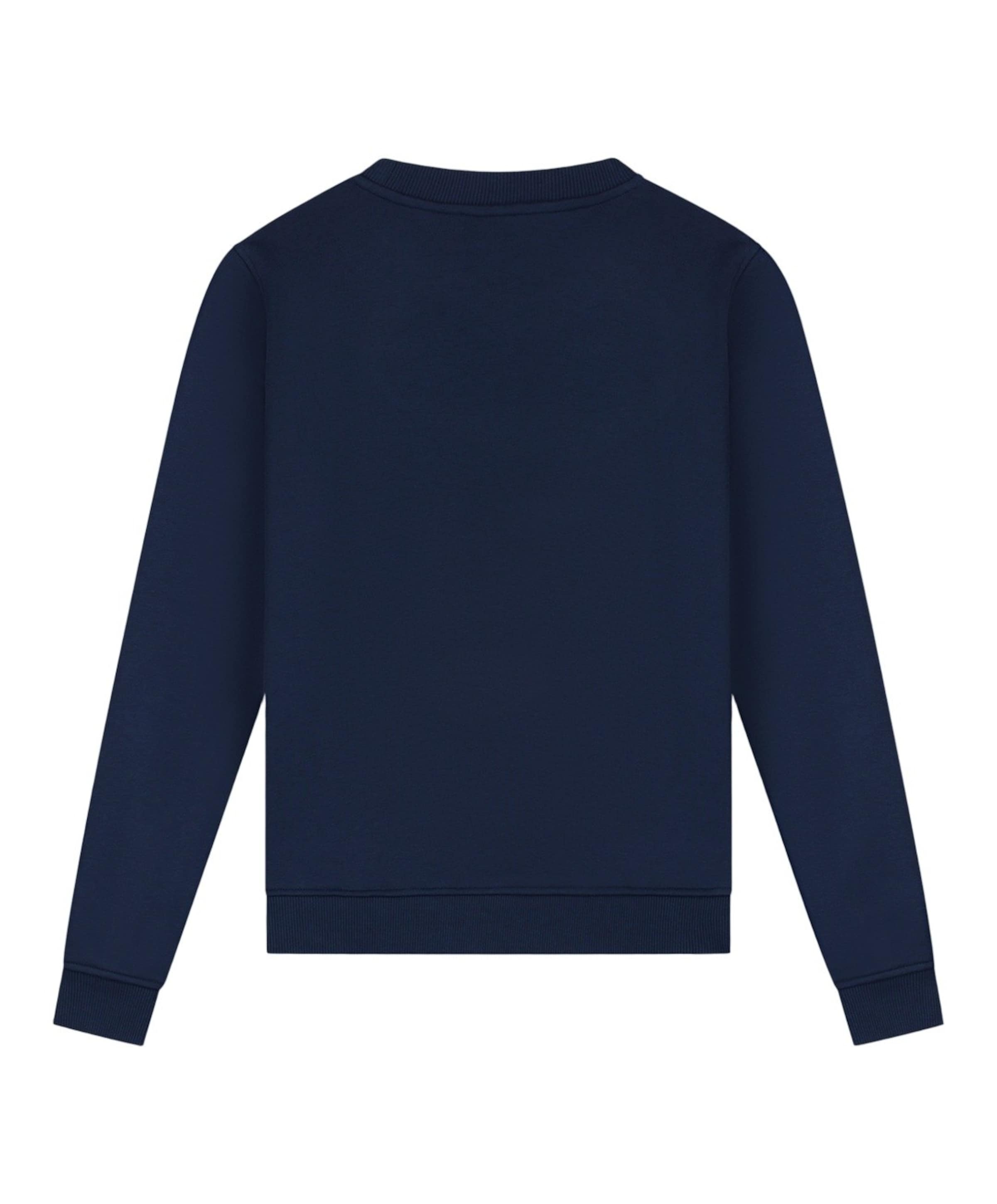 Ballin Jongens sweater blauw