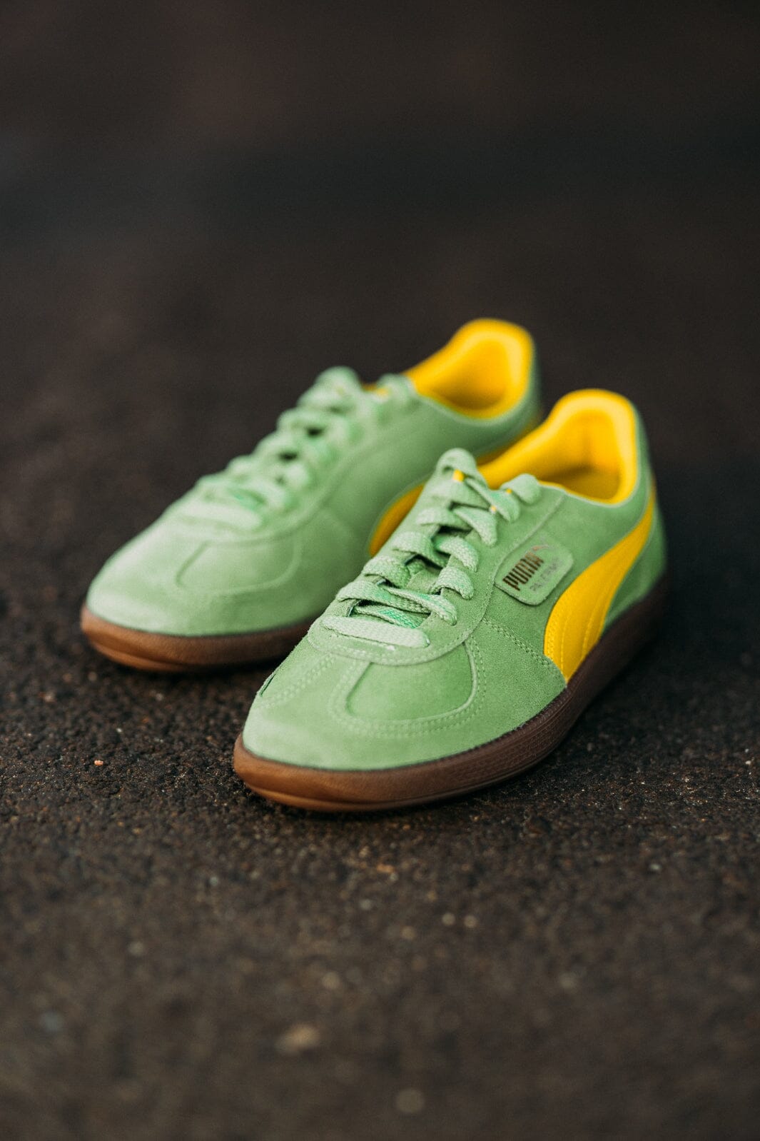 Puma Palermo green 18