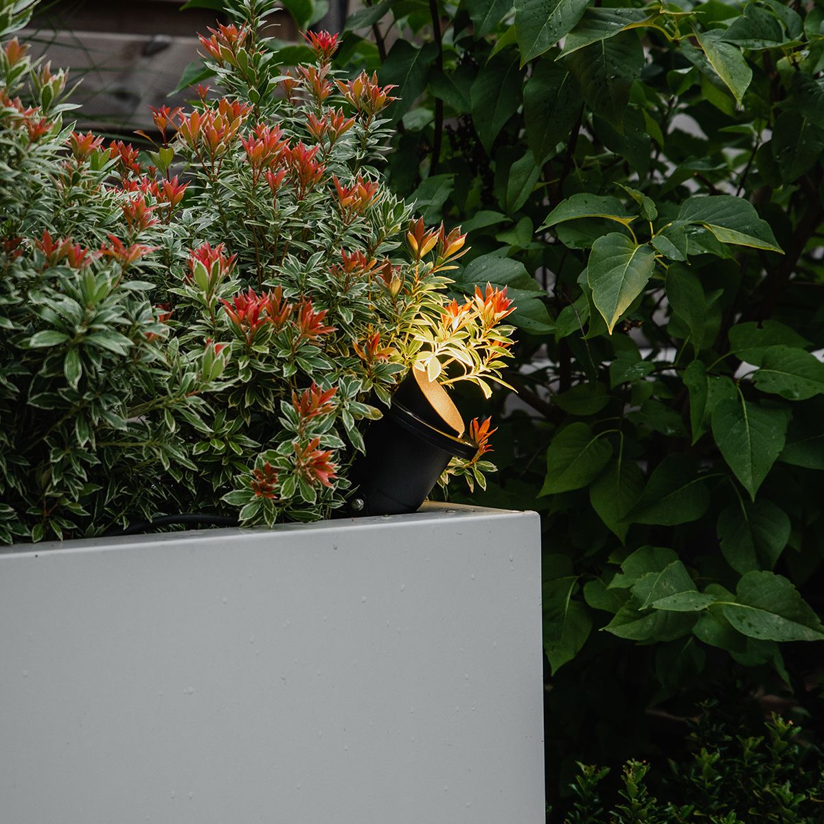 Tuinspot-prikspot zwart incl. snoer en stekker IP65 - Done