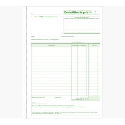Exacompta - Manifold Carnet de devis pour micro-entrepreneurs - 50 dupli - A4
