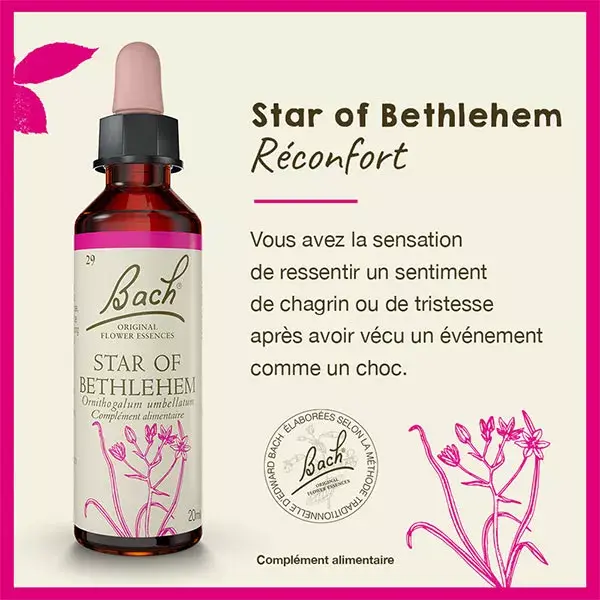 Óleos Florais de Bach Originais - Estrela de Belém 20ml