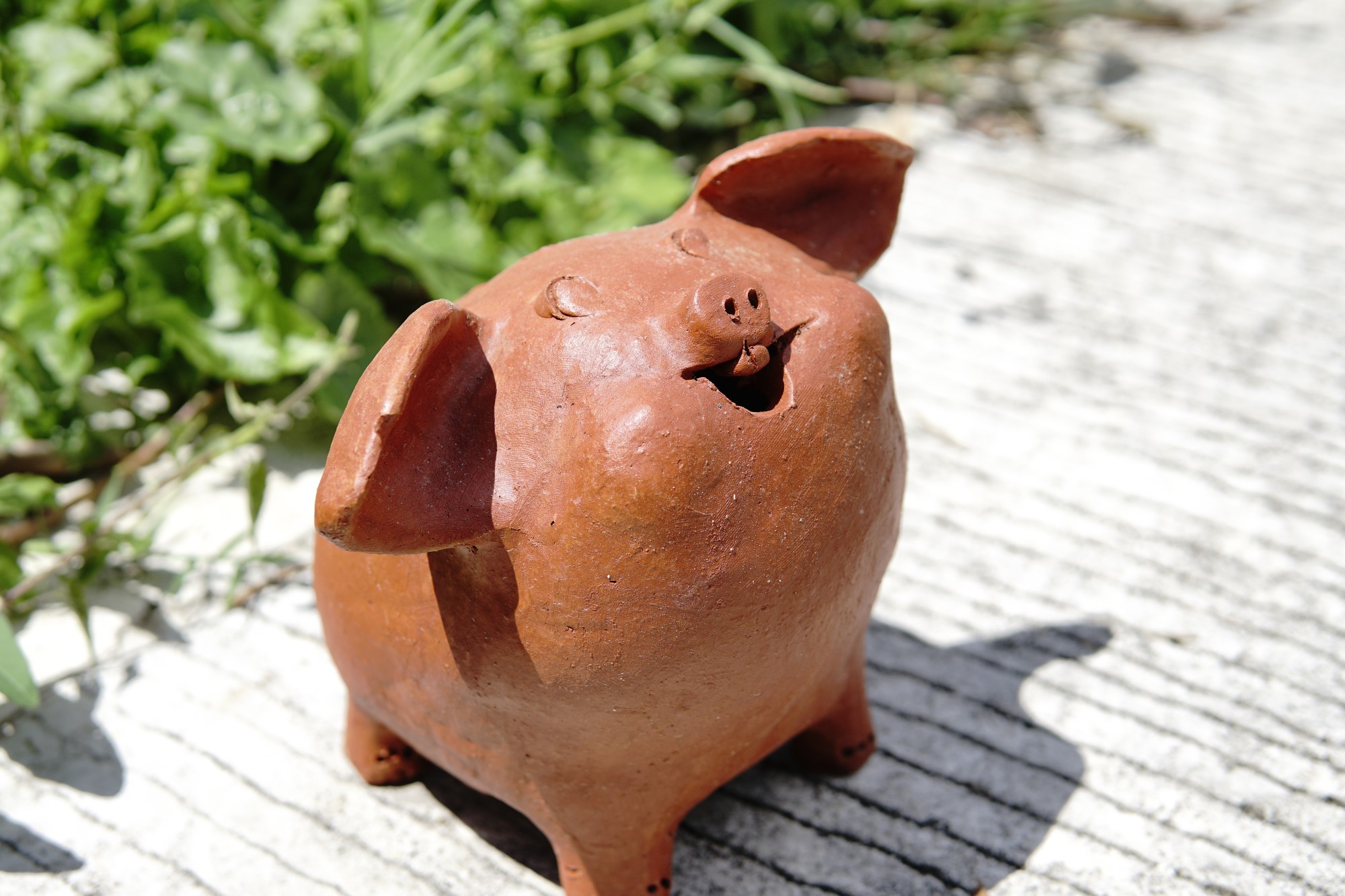 Sparschwein 'Rüdiger', terrakotta, B 23 cm, H 21 cm, L 24 cm günstig bestellen