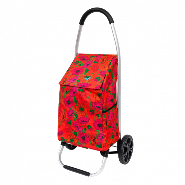 Chariot de courses - Trolly