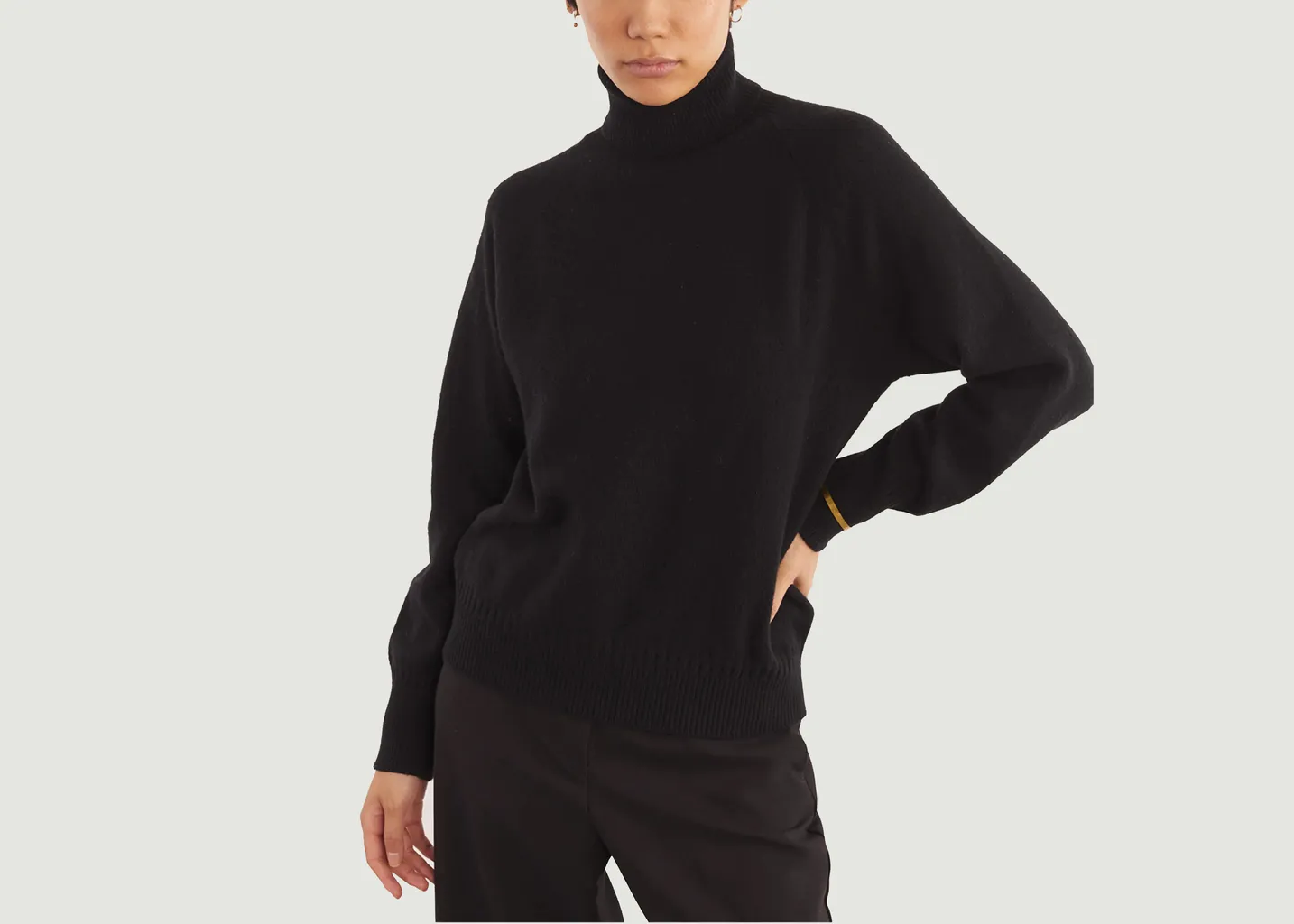 Pull Col roulé en Cachemire Tricot