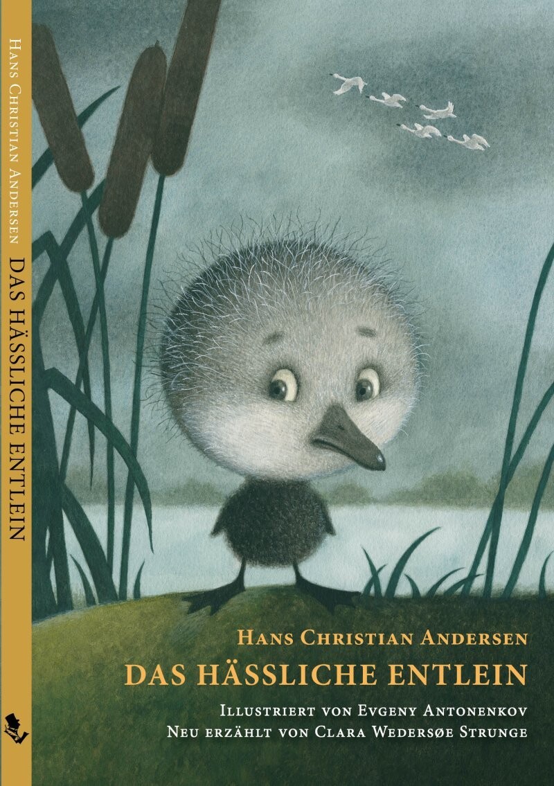 Das Hässliche Entlein - Hans Christian Andersen - Tysk Bog