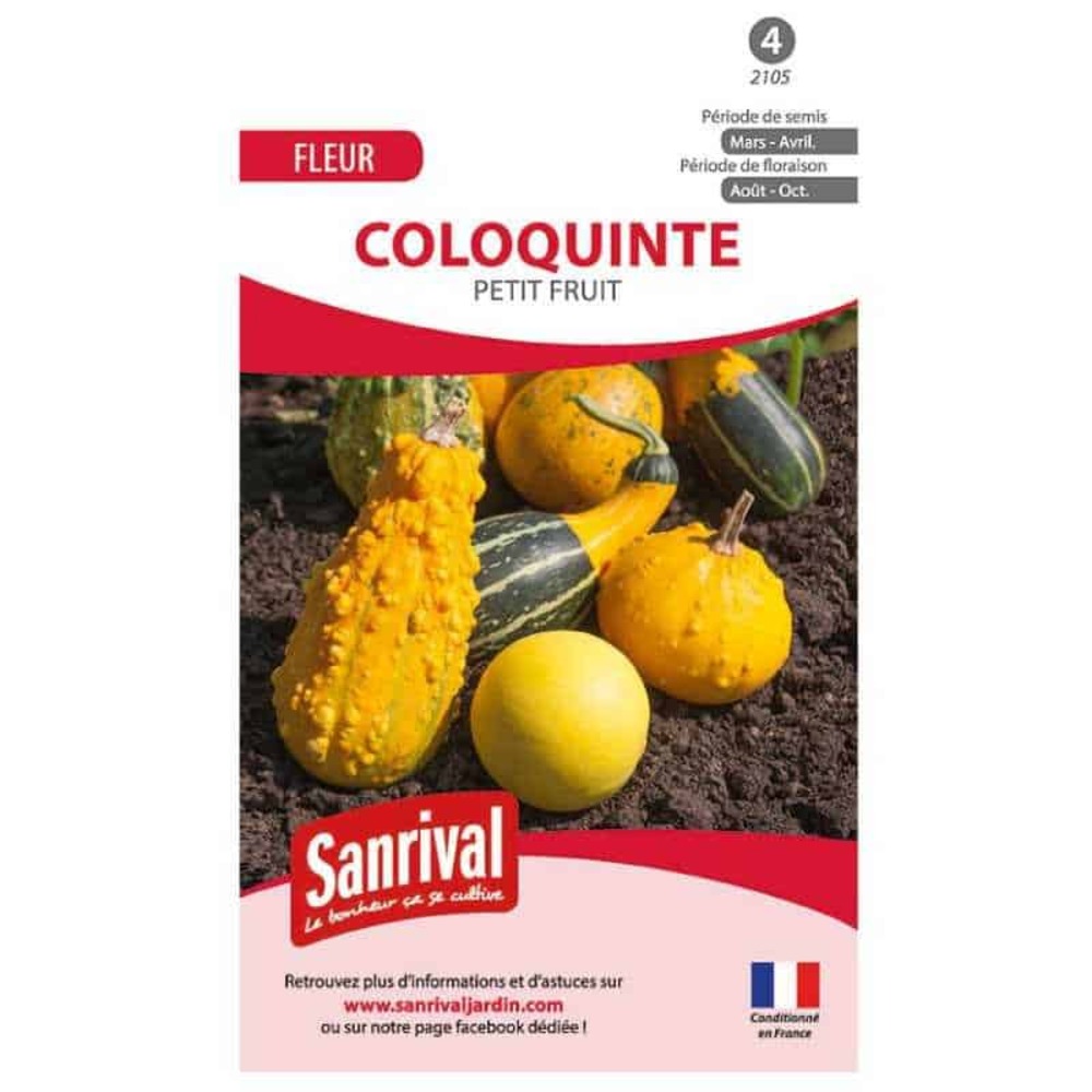 Graines de coloquinte