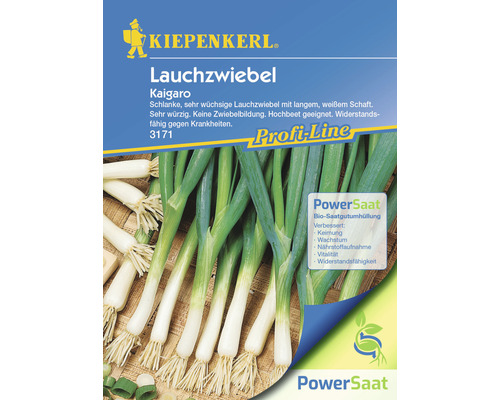 Leek Kaigaro Kiepenkerl PowerSaat Open-pollinated seeds Vegetable onion