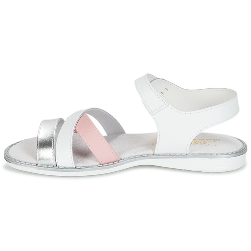 Citrouille et Compagnie - IZOEGL - Blanc / Rose / Argent